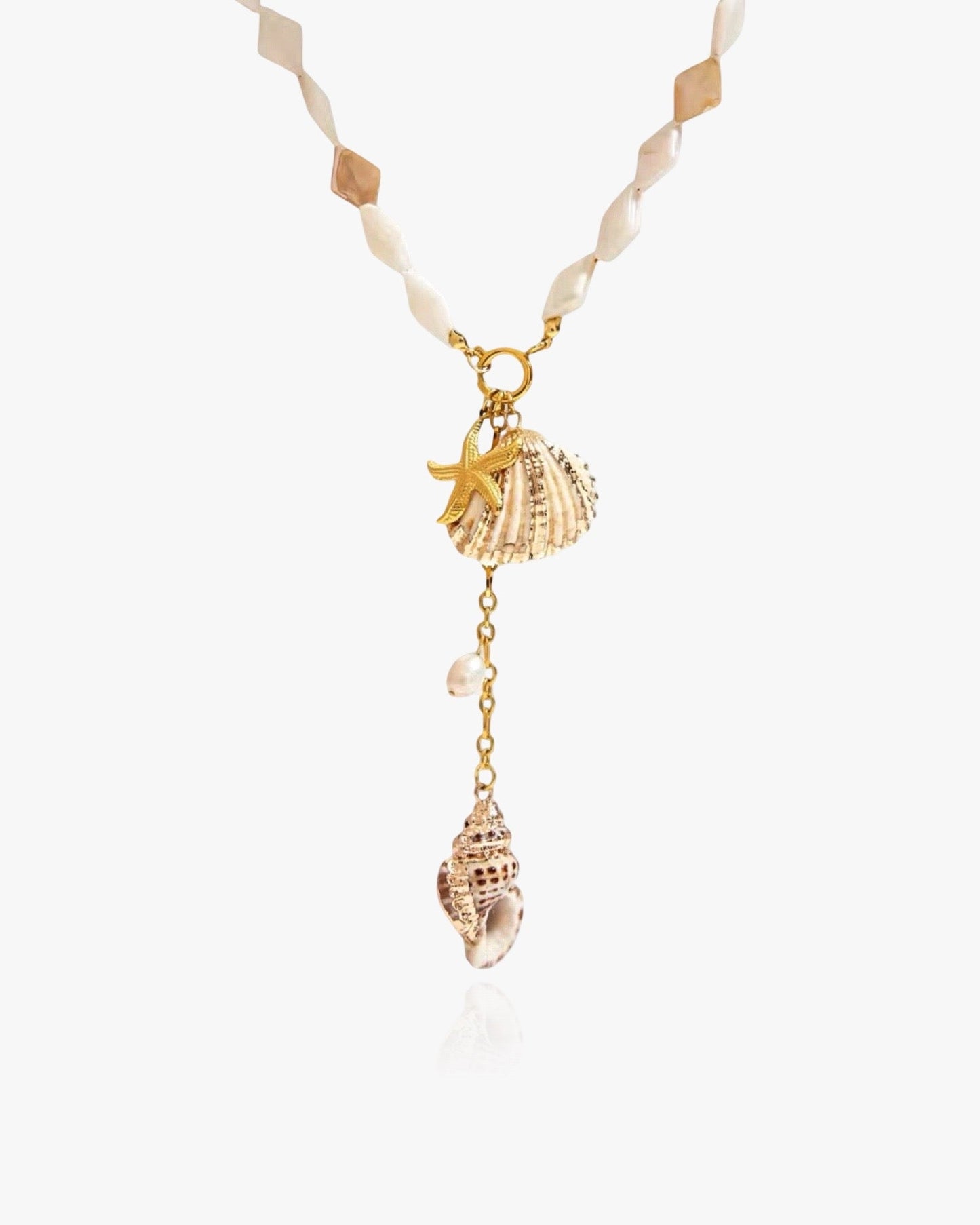Y - Shape Shell Necklace - AYUNA